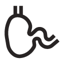 Digestive Support