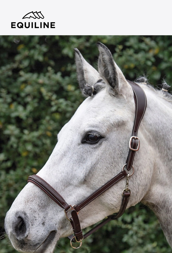 Equiline - Leather Safety Halter