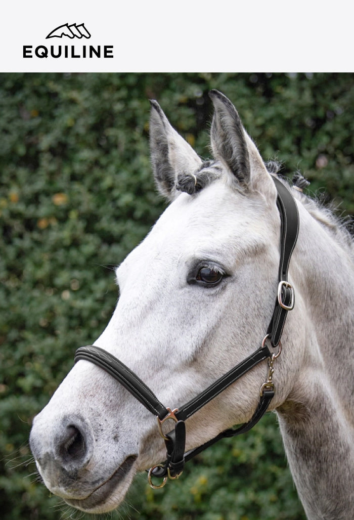 Equiline - Leather Safety Halter