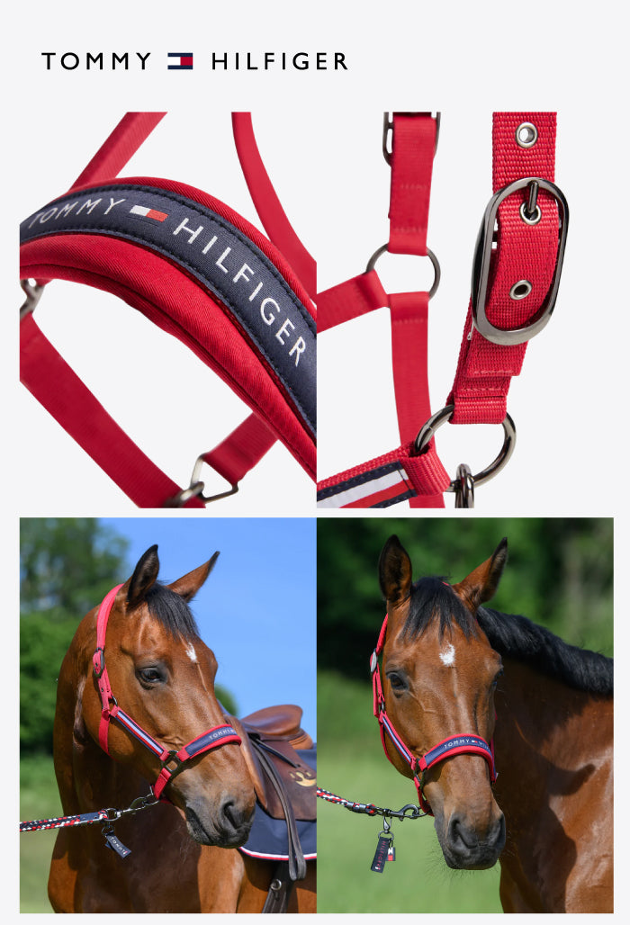 Tommy Hilfiger - Halter Lincoln