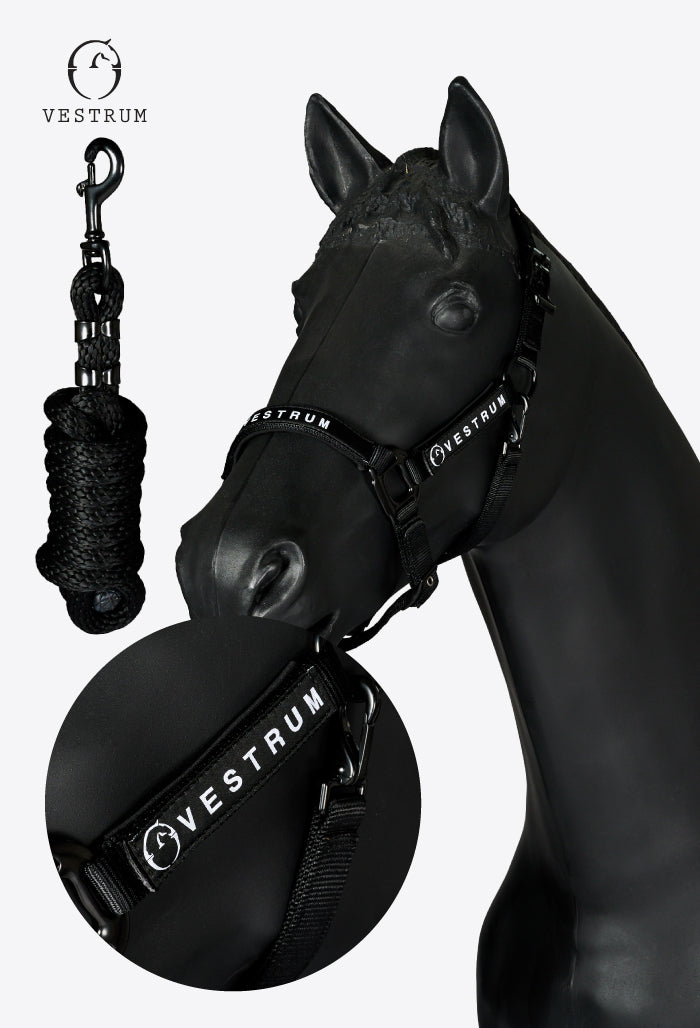 Vestrum - Halter & Rope Set Locri