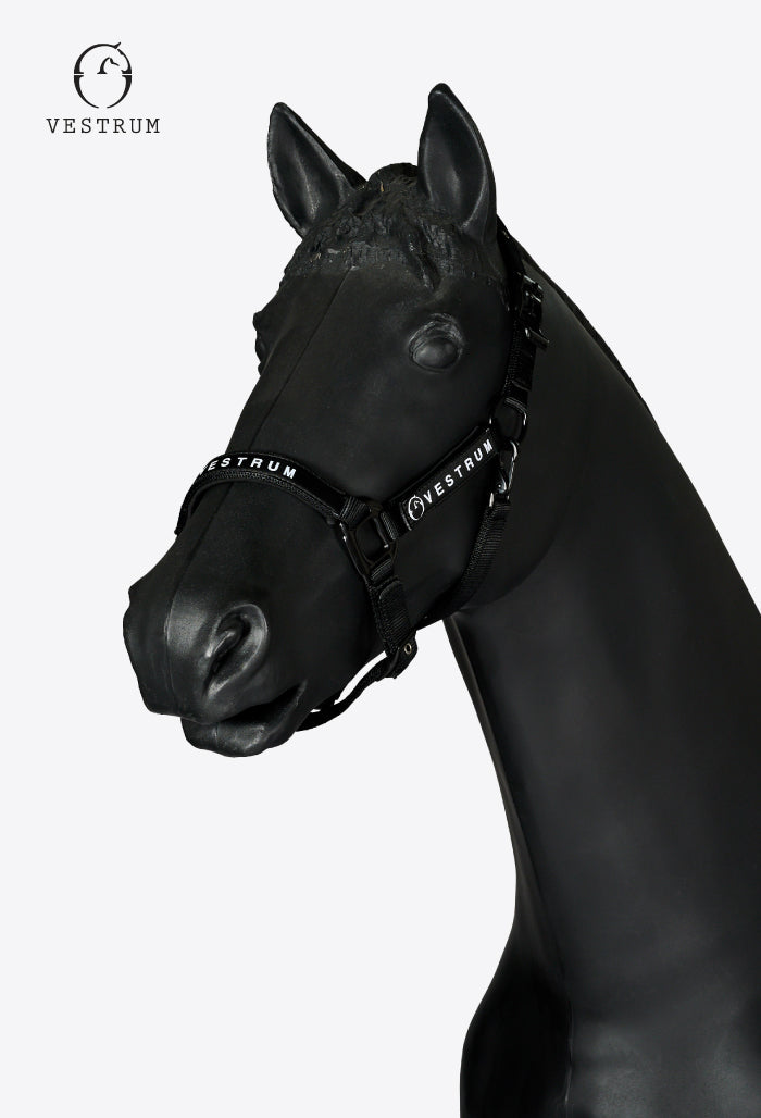 Vestrum - Halter & Rope Set Locri