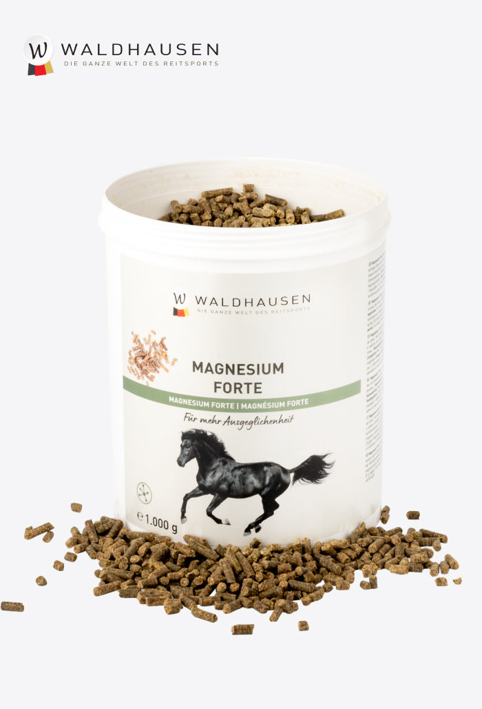 Waldhausen - Magnesium forte - For more balance, 1 kg