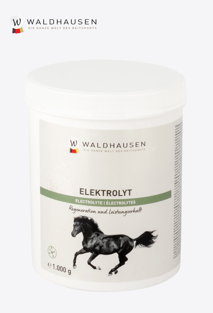 Waldhausen - Electrolytes - regeneration and performance maintenance, 1 kg