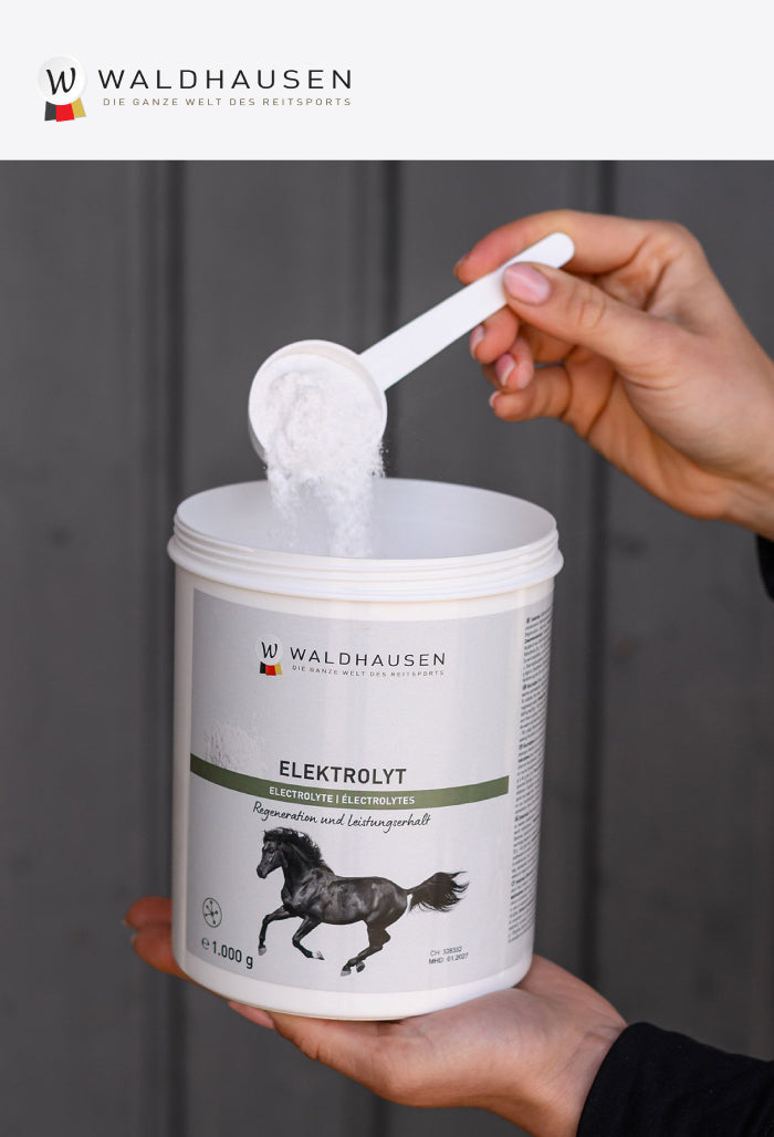 Waldhausen - Electrolytes - regeneration and performance maintenance, 1 kg