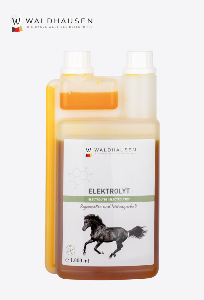 Waldhausen - Electrolyte Liquid - regeneration and performance maintenance, 1 L