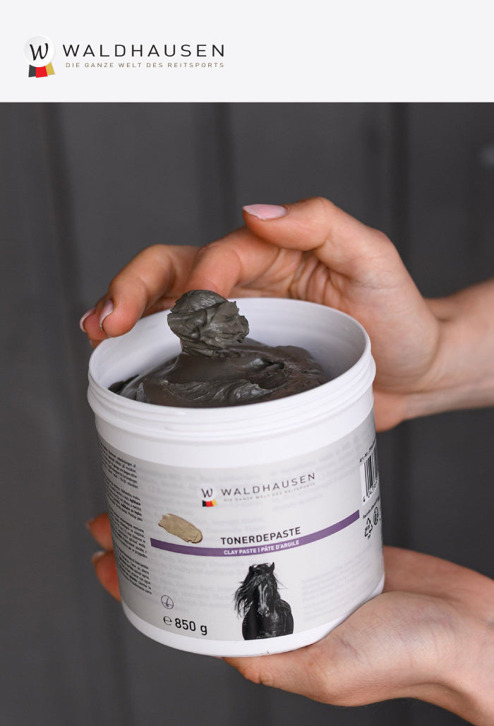 Waldhausen - Clay paste, 850 g