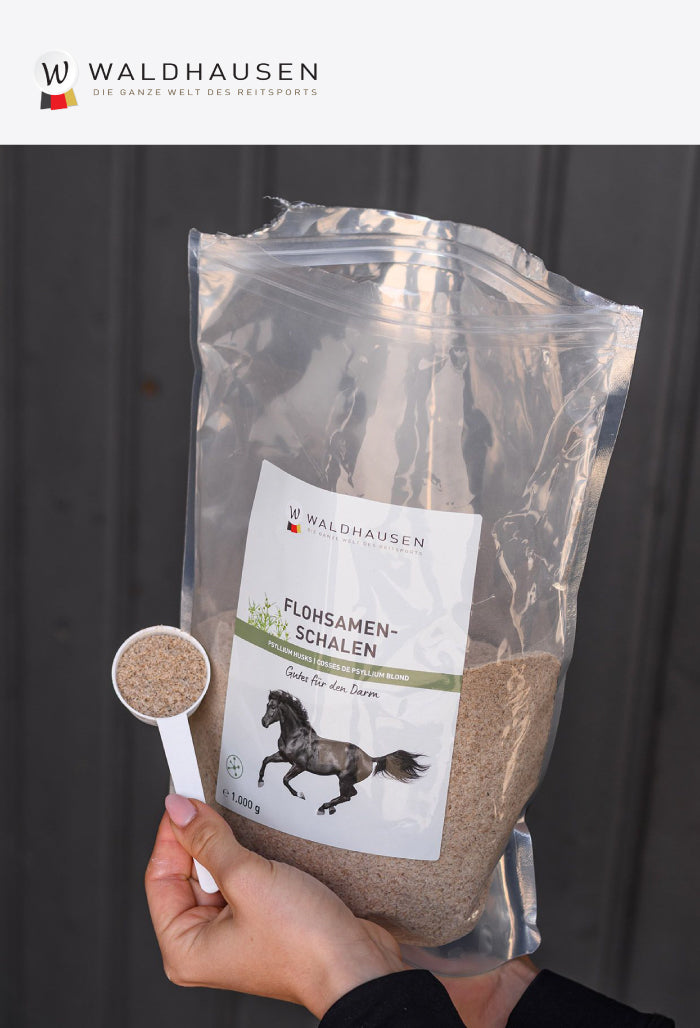 Waldhausen - Psyllium seeds - Gentle help for the intestines, 1 kg
