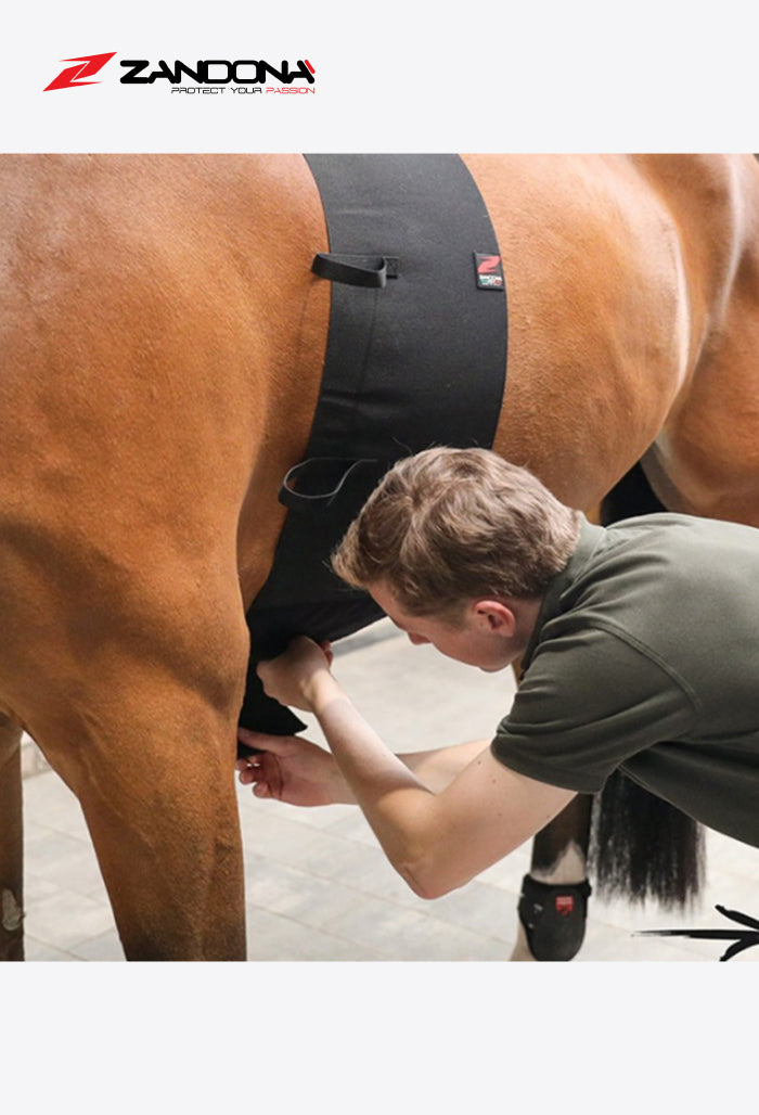 Zandona - Basic Chafe Guard