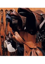 Saddles &- Equipment