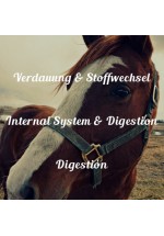 Internal System & Digestion