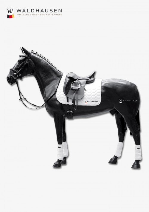 Waldhausen - Horse Thoroughbread-Type