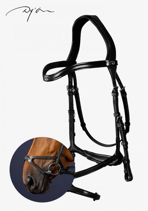 Dy'on - X-Fit Bridle