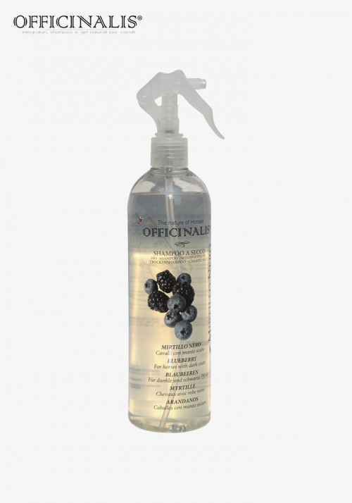OFFICINALIS® - Dry shampoo “Blueberry”