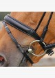 Dy&#039;on - bridle B151