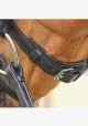 Dy'on - bridle B151